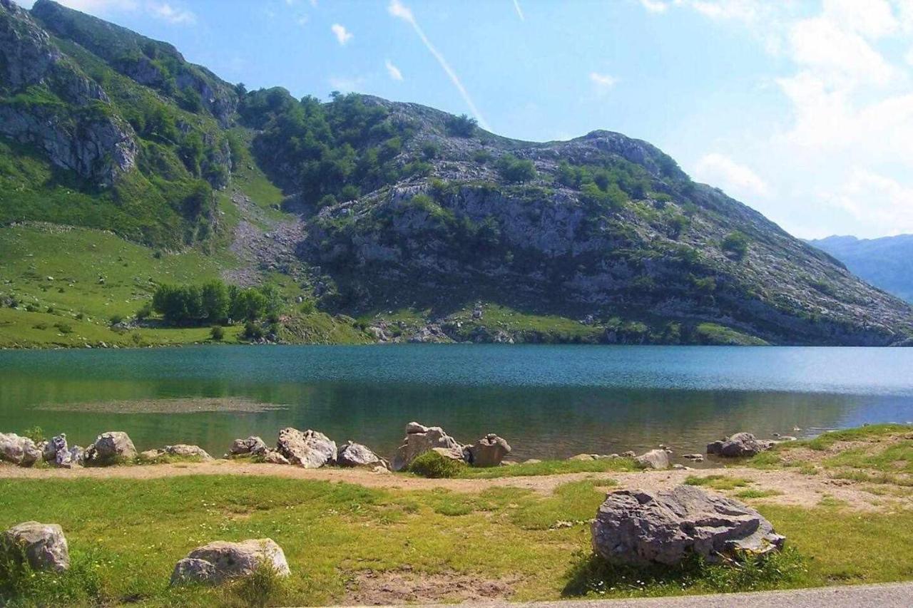 Rincon Con Piscina En Picos De Europa Daire Onís Dış mekan fotoğraf