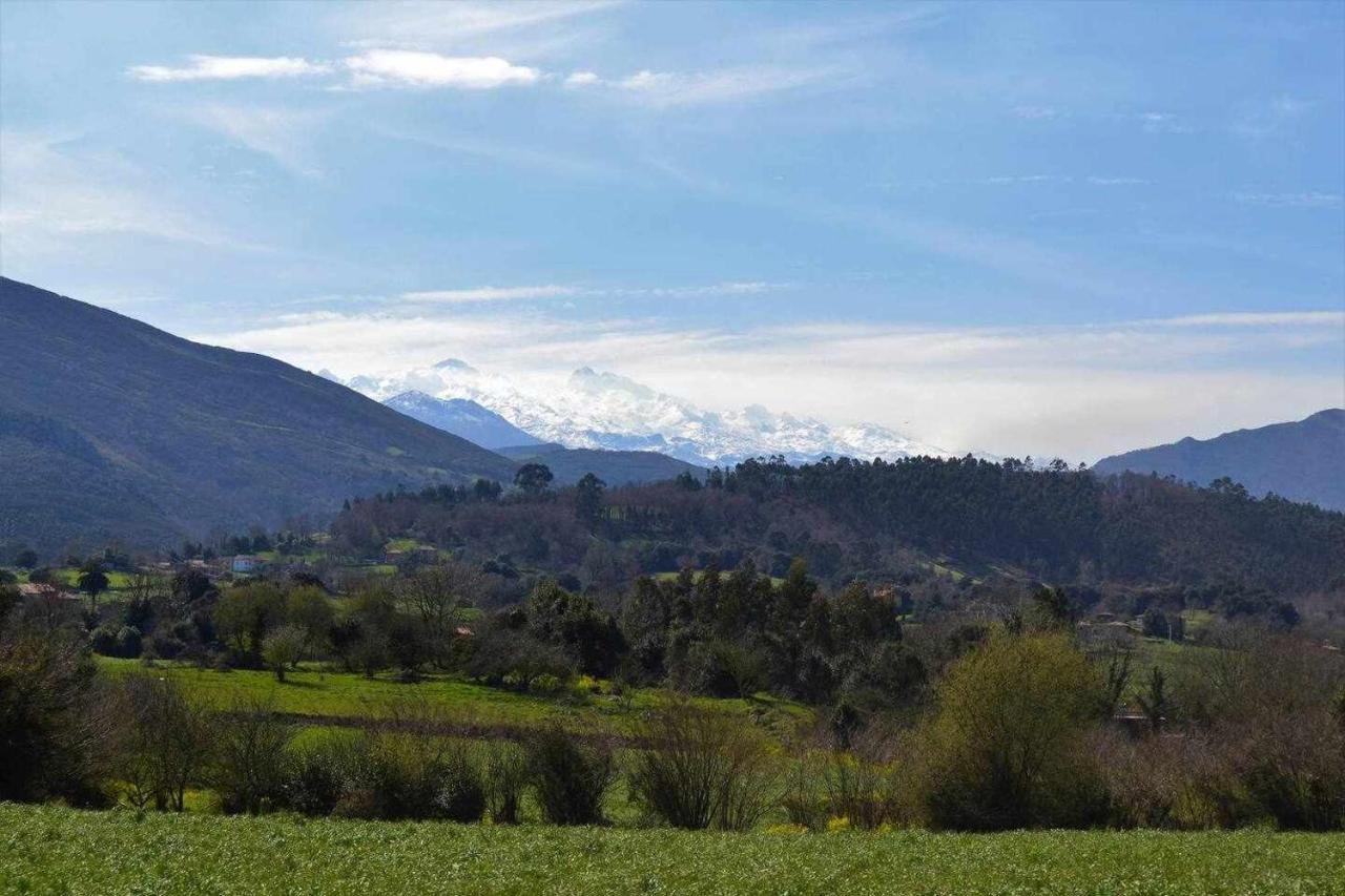 Rincon Con Piscina En Picos De Europa Daire Onís Dış mekan fotoğraf